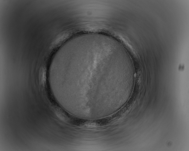 X0000102840685200809021337