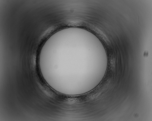 X0000102840686200809021337