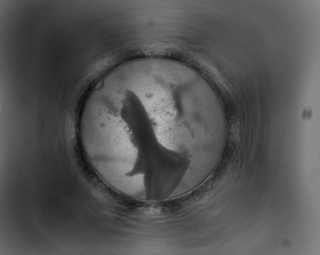 X0000102840687200809021337