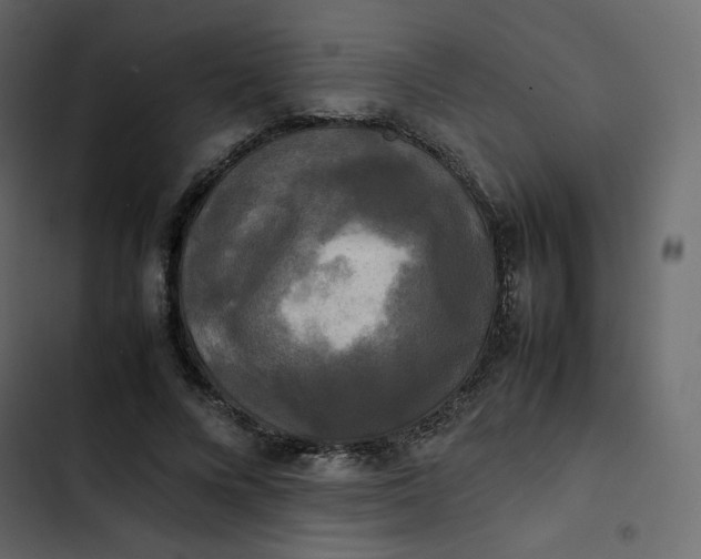 X0000102840688200809021337