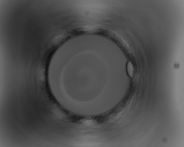 X0000102840689200809021337