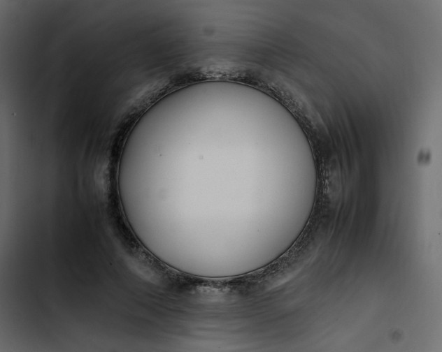 X0000102840690200809021337