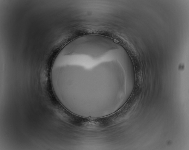 X0000102840691200809021337