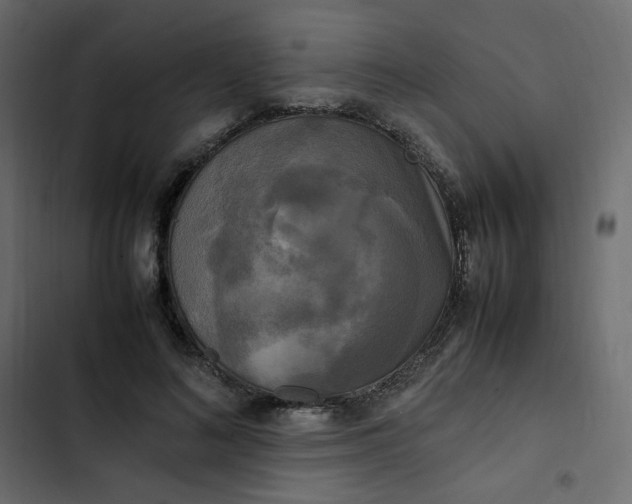 X0000102840692200809021337