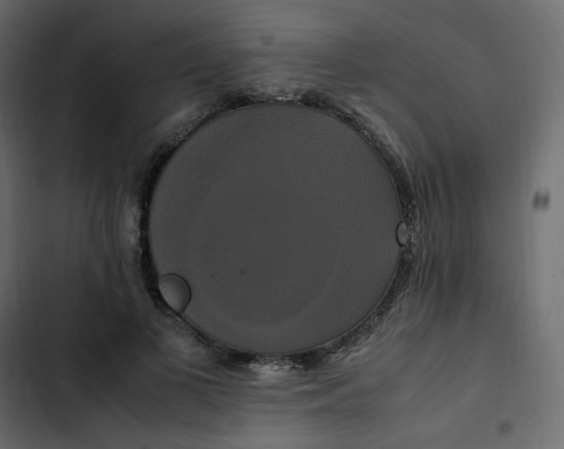 X0000102840693200809021337