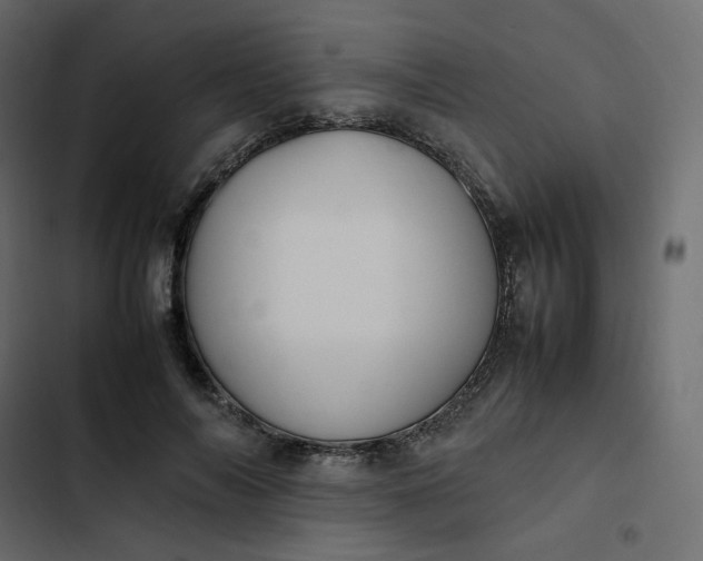 X0000102840694200809021337