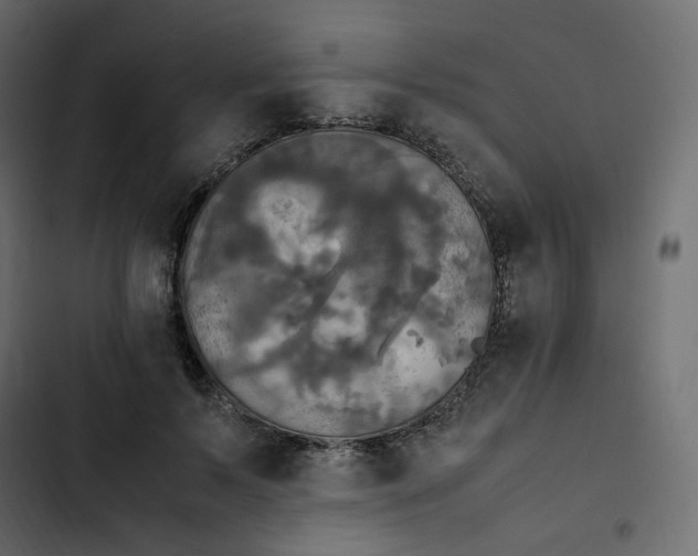 X0000102840695200809021337