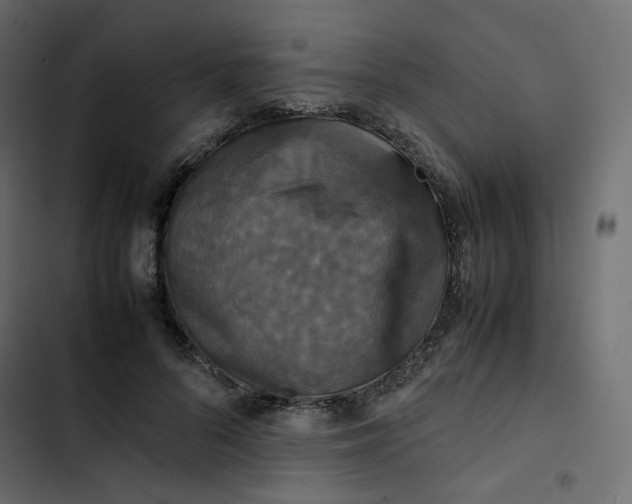 X0000102840696200809021337