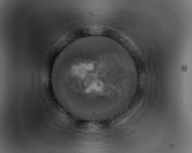 X0000102840697200809021337