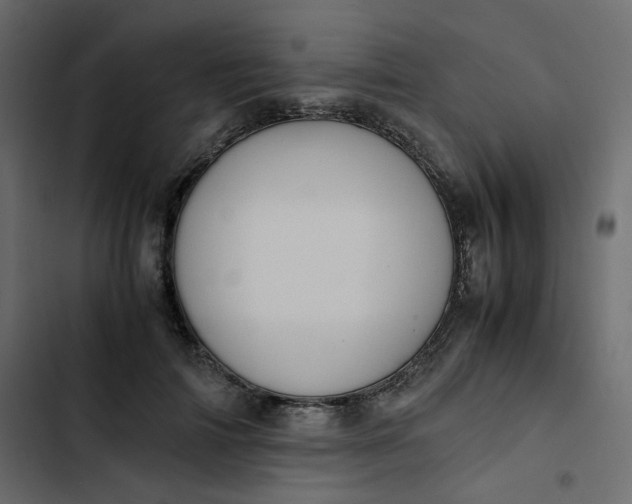 X0000102840698200809021337