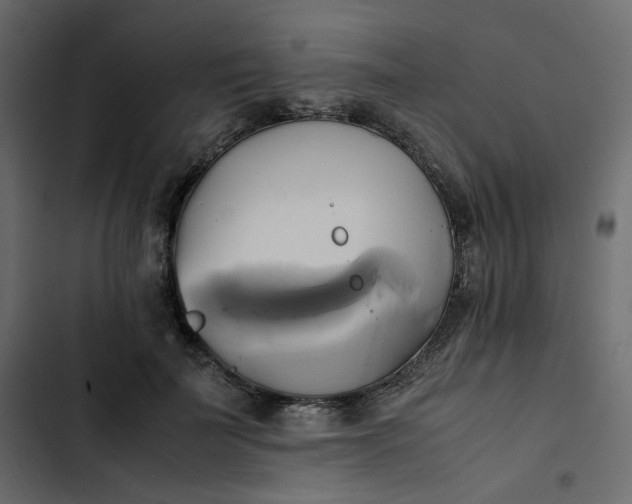 X0000102840699200809021337