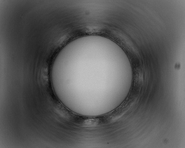 X0000102840700200809021337