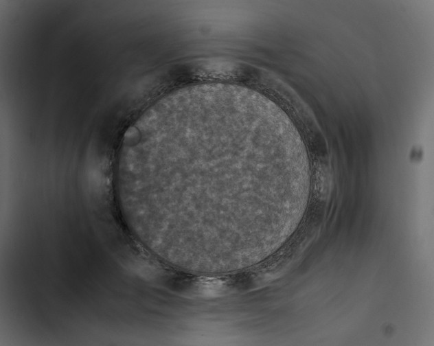 X0000102840701200809021337