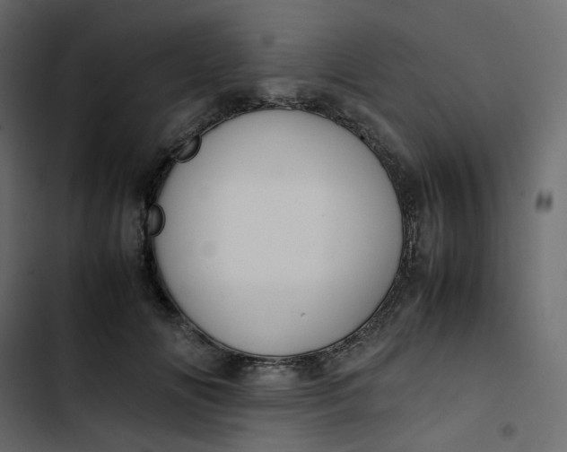 X0000102840702200809021337