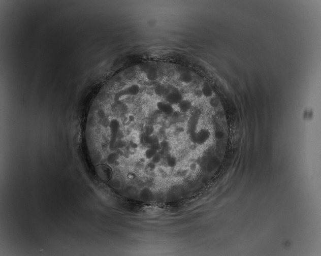 X0000102840703200809021337