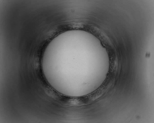 X0000102840704200809021337