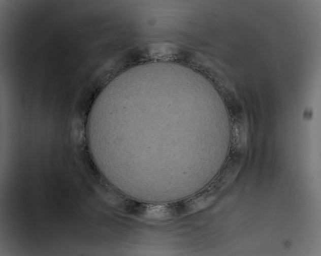 X0000102840705200809021337