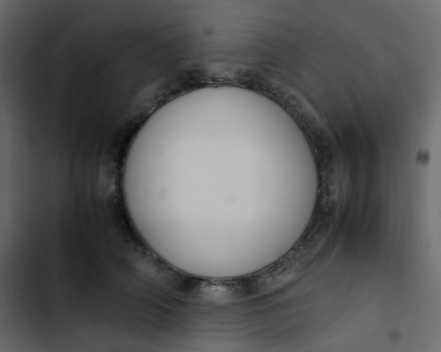 X0000102840706200809021337