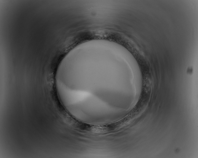 X0000102840707200809021337