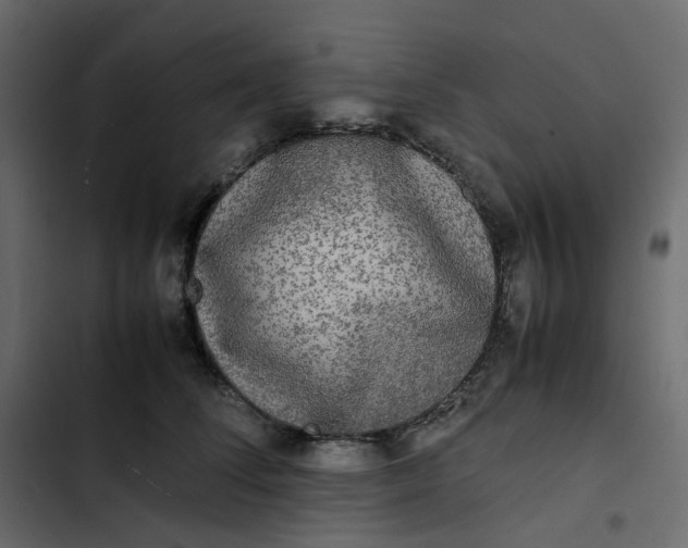 X0000102840708200809021337