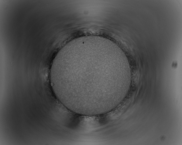 X0000102840709200809021337