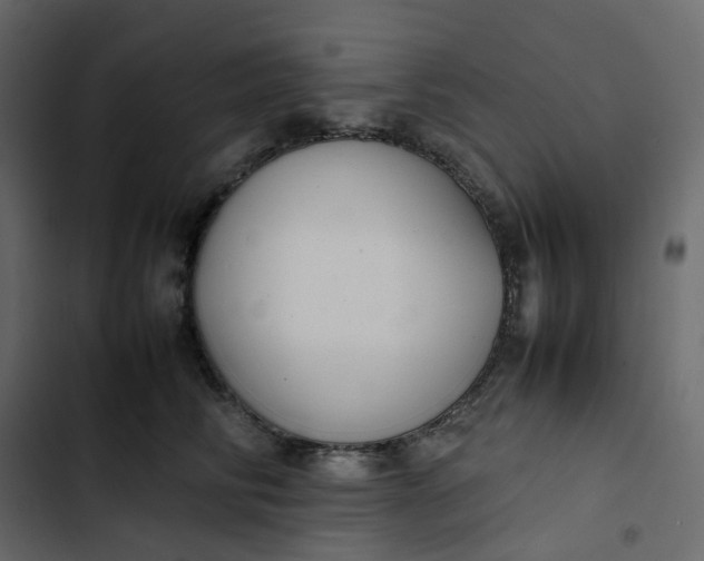 X0000102840710200809021337