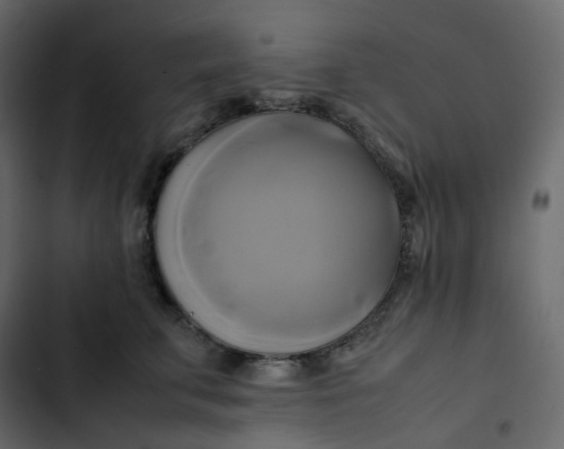 X0000102840711200809021336