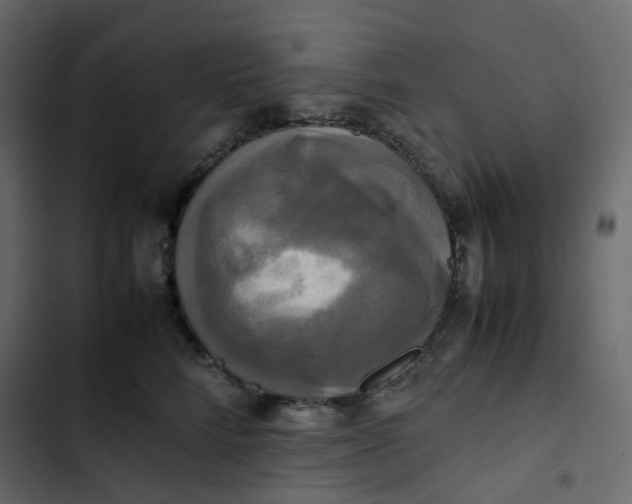 X0000102840712200809021336