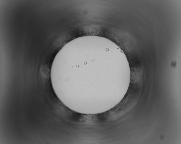 X0000102840713200809021336