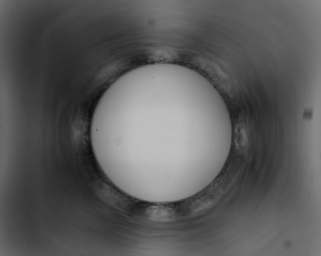 X0000102840714200809021336