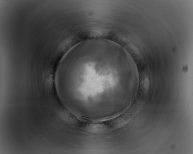 X0000102840716200809021336