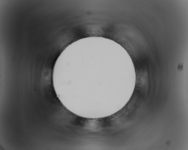 X0000102840717200809021336