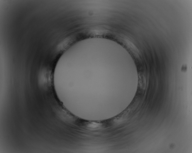 X0000102840718200809021336