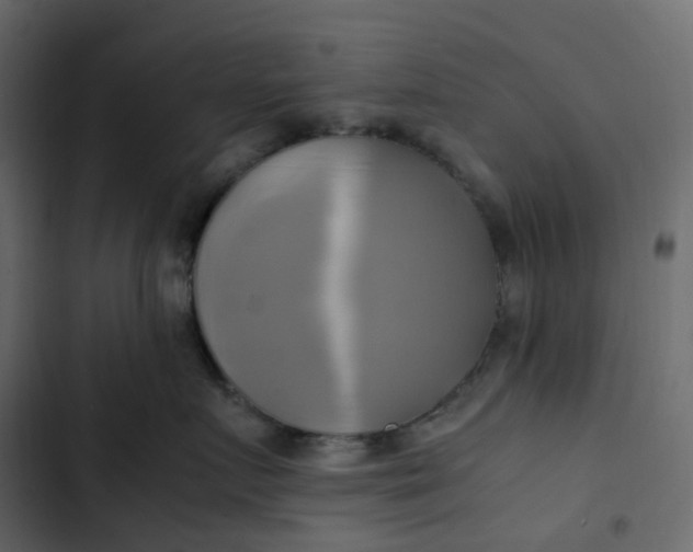 X0000102840719200809021336