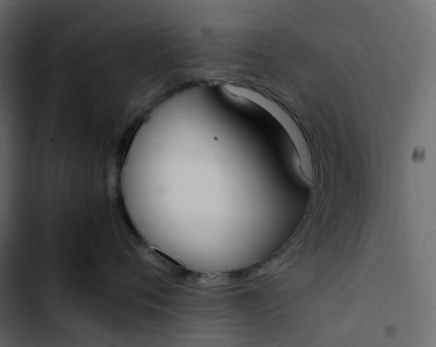 X0000102840720200809021336