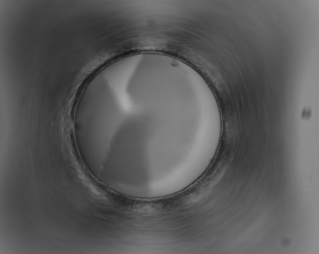 X0000102840721200809021336