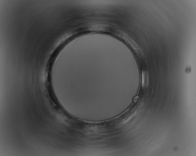 X0000102840723200809021336