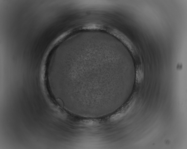 X0000102840724200809021336