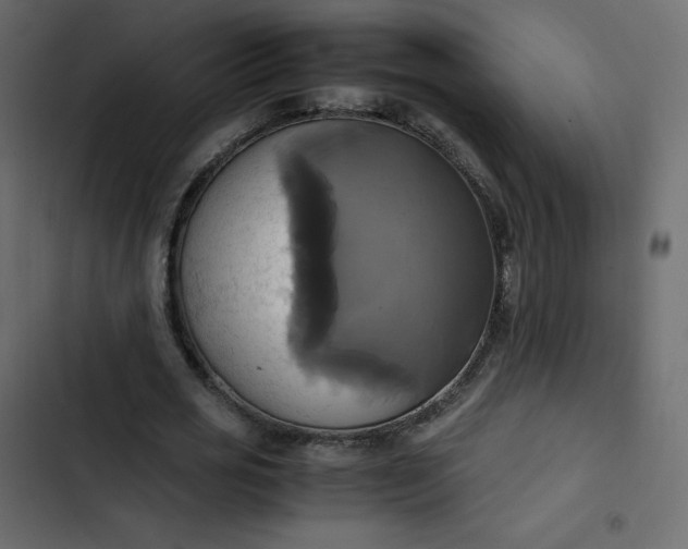 X0000102840725200809021336