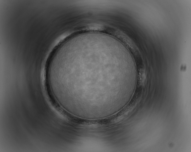 X0000102840726200809021336