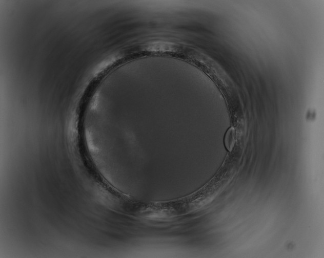 X0000102840727200809021336