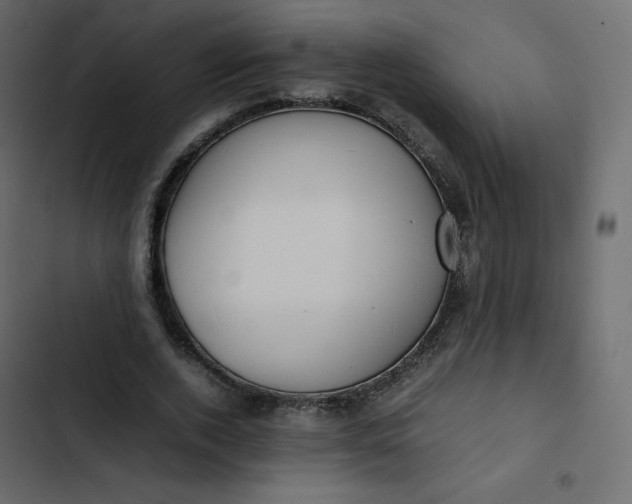 X0000102840728200809021336