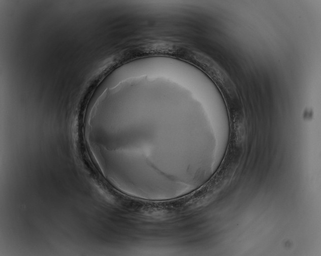 X0000102840729200809021336