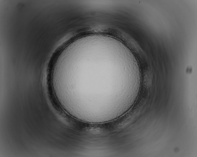 X0000102840730200809021336