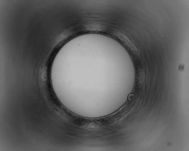 X0000102840731200809021336