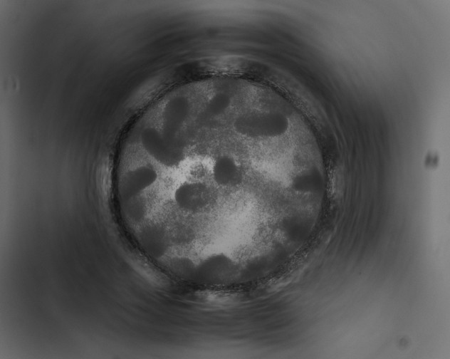 X0000102840733200809021336