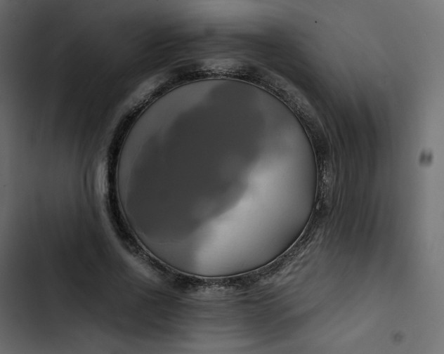 X0000102840734200809021336