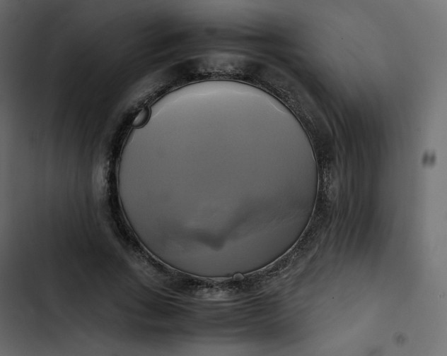 X0000102840735200809021336