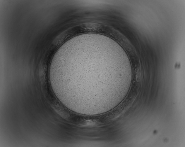 X0000102840737200809021336