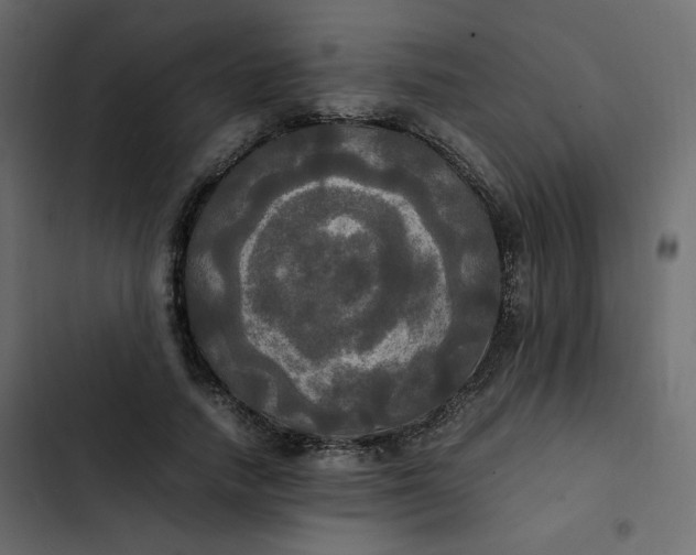 X0000102840738200809021336